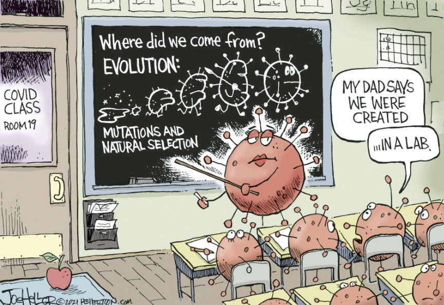 WHERE DID WE COME FROM